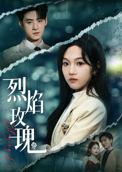 35.烈焰玫瑰（37集）王珊珊＆武帅康