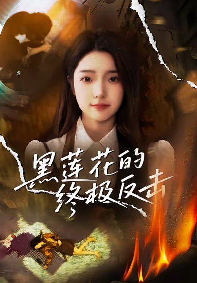 48.黑莲花的终极反击（60集）鲁倩倩