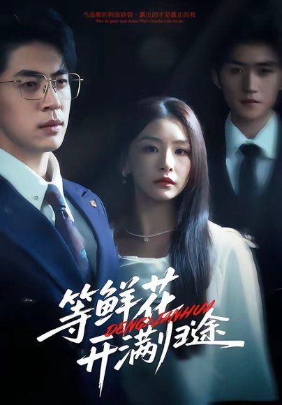 49.等鲜花开满归途（61集）金锦灿&贾金赛&费晨曦&瞿宇