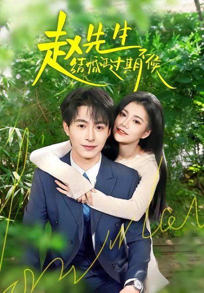 49.赵先生结婚证过期不候（50集）郭伊慧＆张宸硕