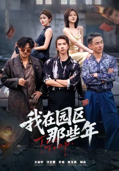 56.我在园区那些年（61集）王振宇&汪芷萱