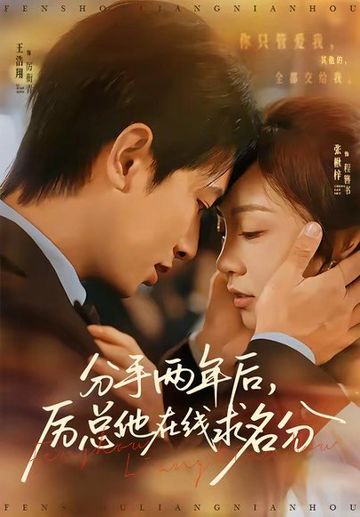 分手两年后，厉总他在线求名分