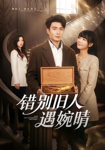 错别旧人遇婉晴