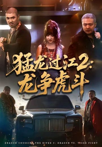 猛龙过江2：龙争虎斗