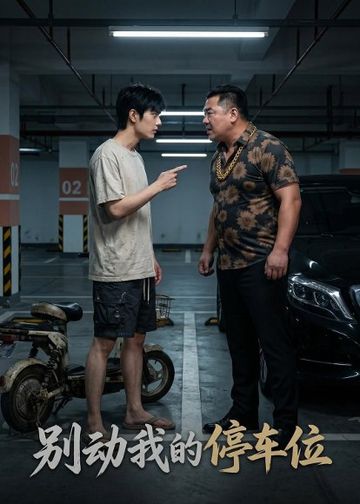 别动我的停车位